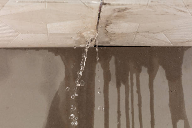 Professional Water Extraction technician working in Renick, MO